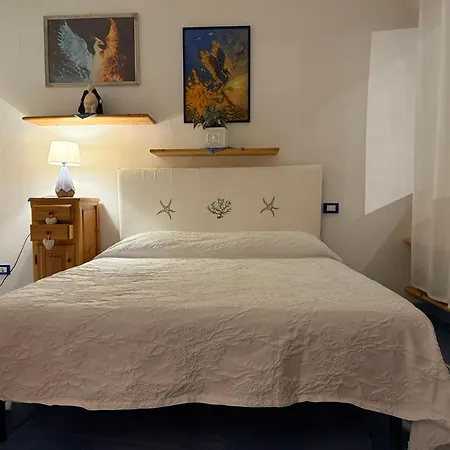 Casa Paolina Feriehus Cannigione